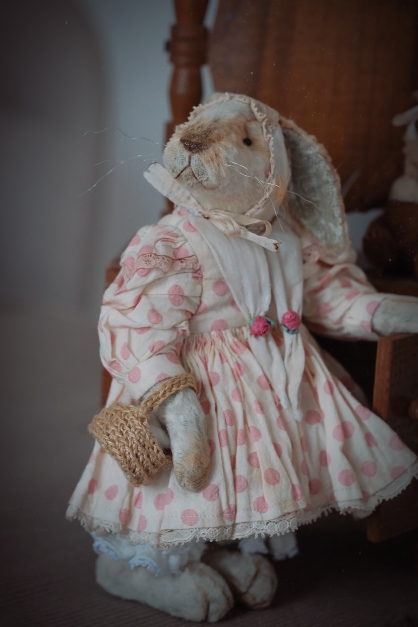 Rabbit in dress