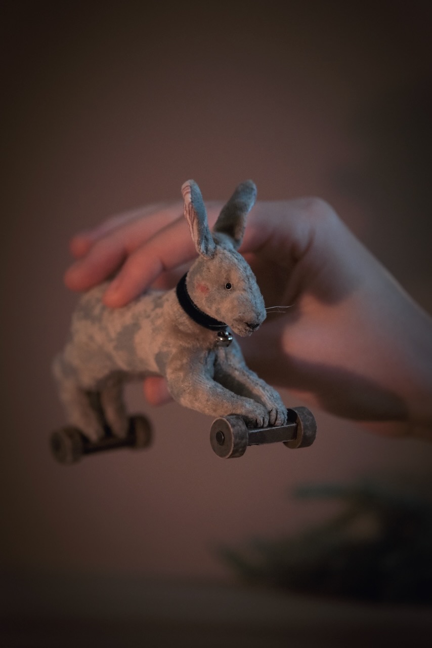 Rabbit on wheels